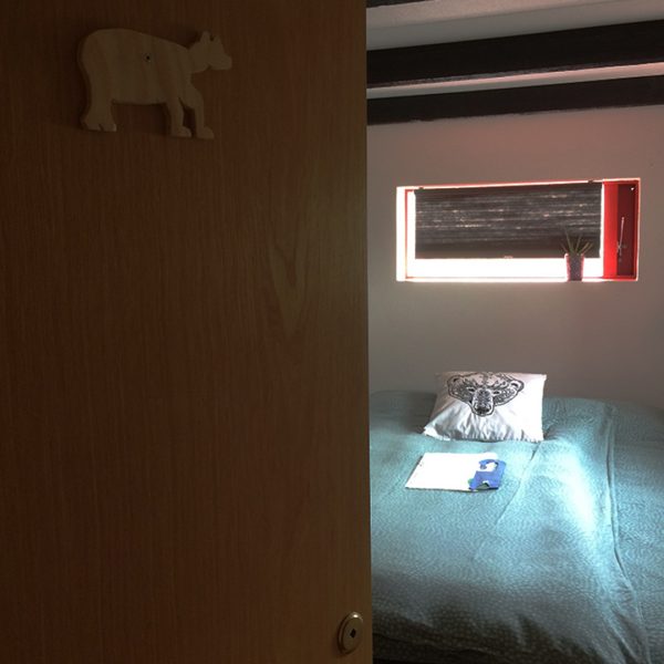 Bear room